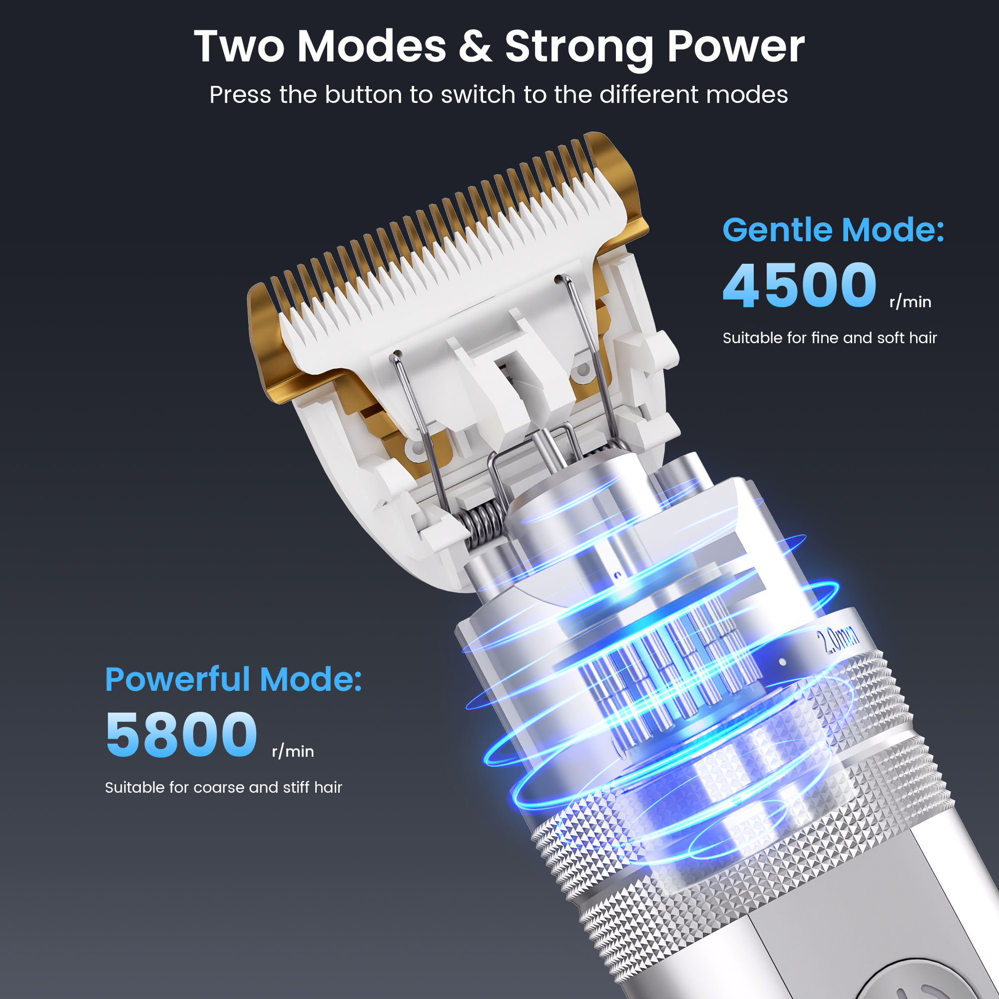 view